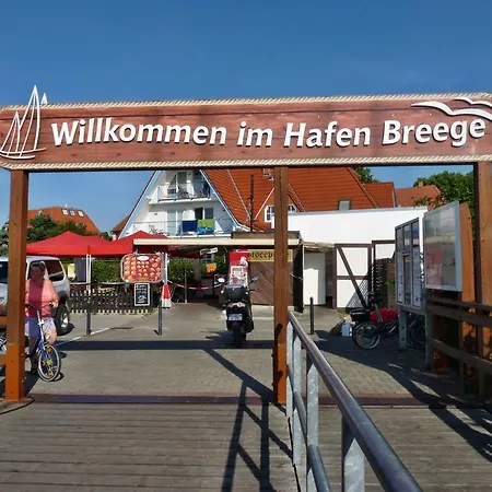 Mola Breege